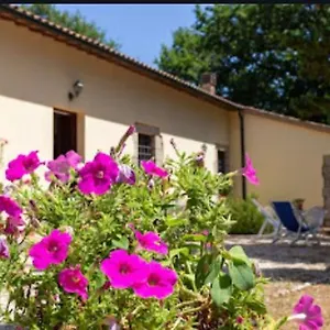  Appartamento La Pecora Verde